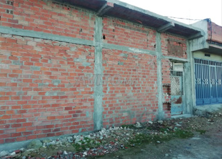 نونويش قرب مالبطا