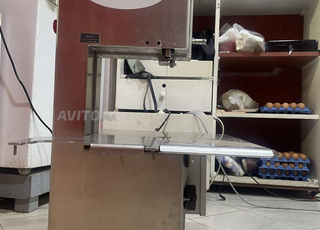 Scie électrique BIRO