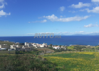 terrains titrè 303 m rout kesar sghir 