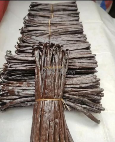 VENTE GOUSSE VANILLE FRAÎCHE DE MADAGASCAR 🇲🇬 