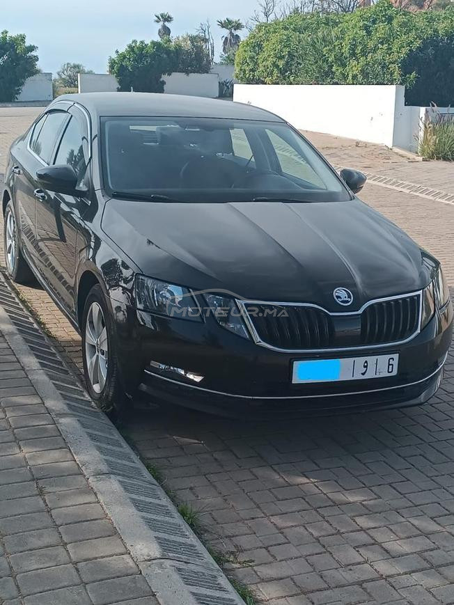 octavia 