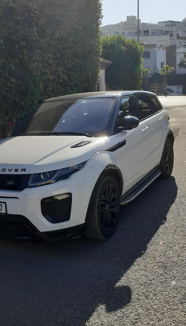 belle voiture 