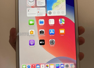 iPad mini 5 à vendre