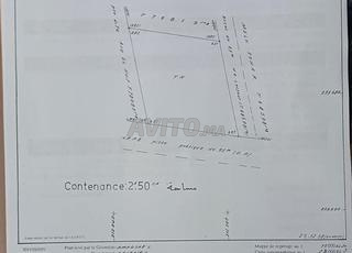 بقعة للبيع شوكية  250 متر محفضة 