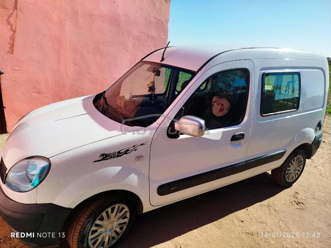 kangoo