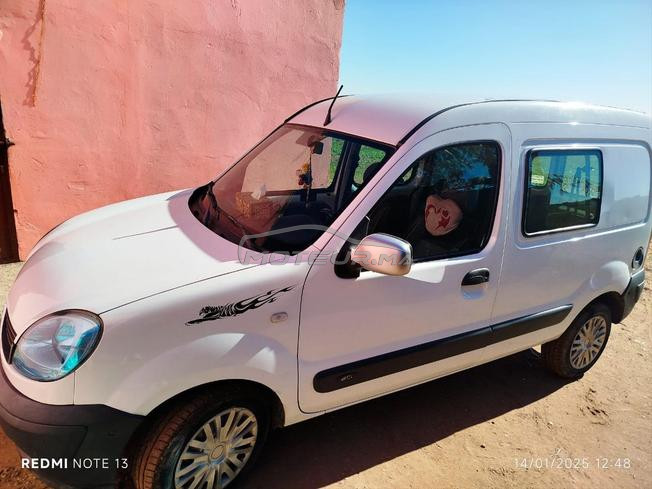 kangoo
