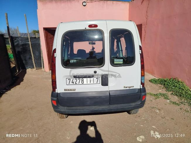 kangoo