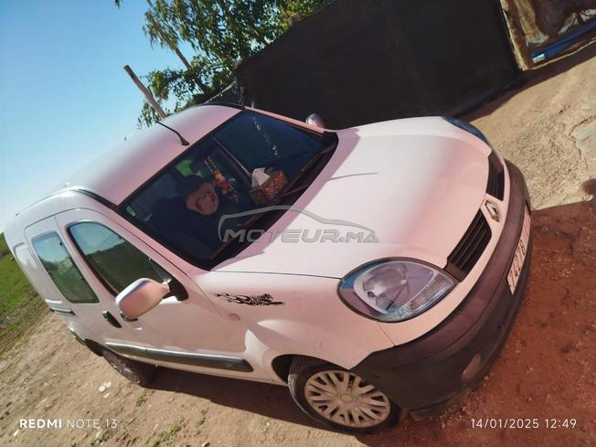 kangoo