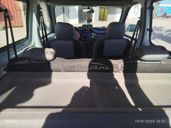 kangoo