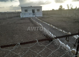 منزل للسكن في البادية بمساحة 2 خدمة 