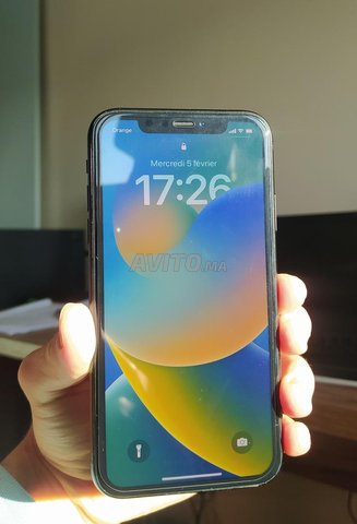 iPhone Xr 100🔋