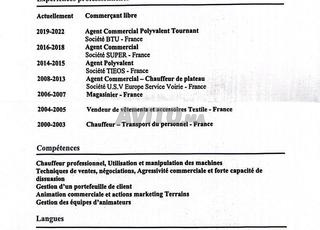 Chauffeur professionnel -Tourisme 