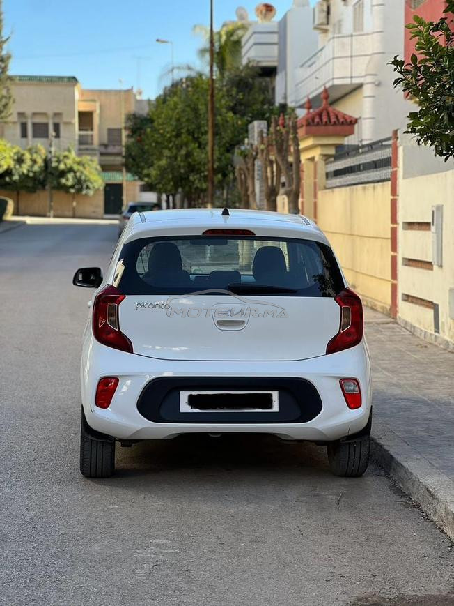 Kia Picanto Essence Manuelle 2022 à Fès