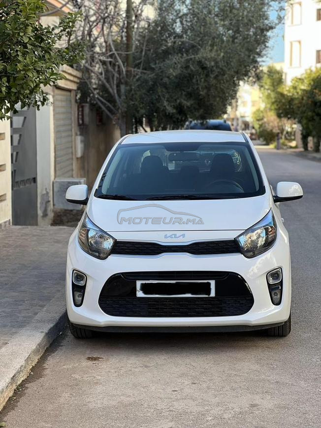 Kia Picanto Essence Manuelle 2022 à Fès
