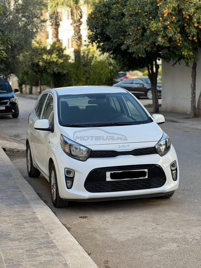 Kia Picanto Essence Manuelle 2022 à Fès