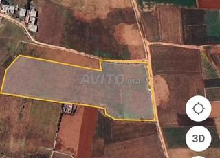 أرض فلاحية محفظة للبيع 