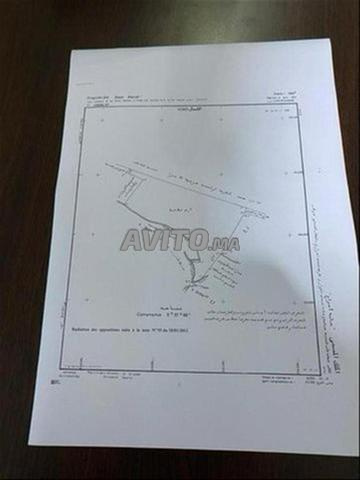 Titre Foncier - 2