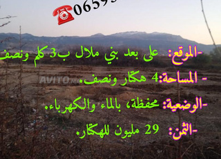 TERRAIN AGRICOLE DE 4Ha et demi