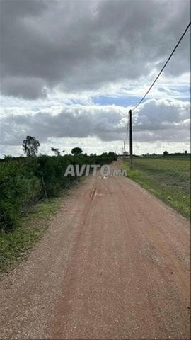 1.92 ha titré à Benslimane Ain Laksab - 2