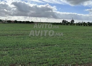 1.92 ha titré à Benslimane Ain Laksab