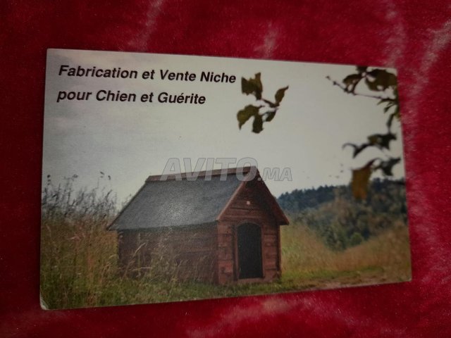 Niche pour chien 