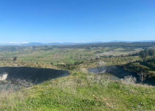 FERME a khmis sahel entre asilah et larache