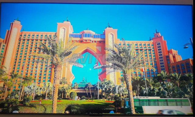 TCL 75 pouce C655 QLED pro 