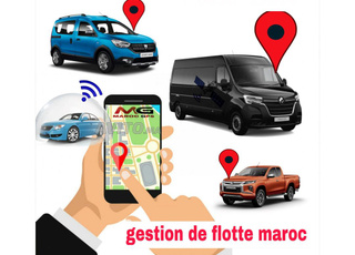 GPS de voiture et camion