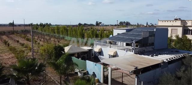 فيرمة صغيرة جميلة بمنزل ومسبح قرب المدينة  تيفلت - 2