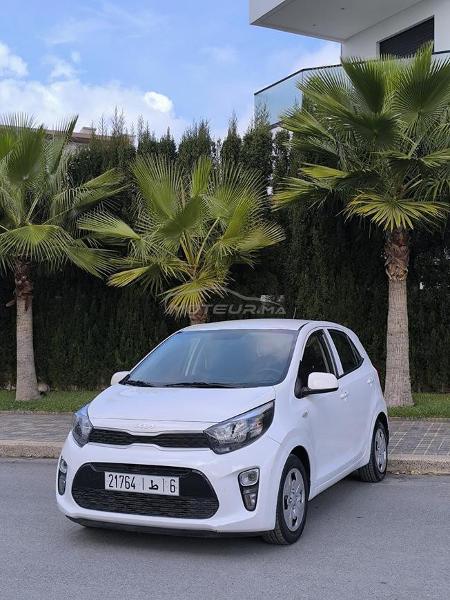 kia picanto 