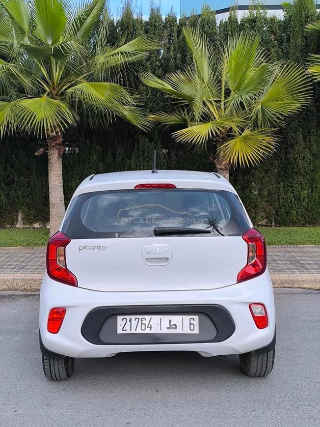 kia picanto 