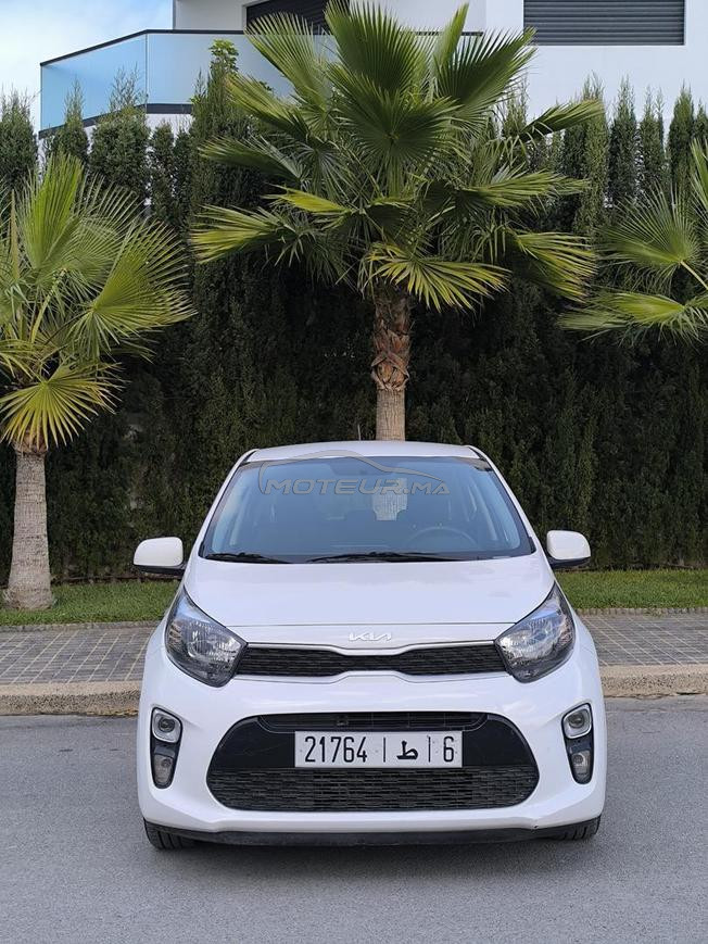 kia picanto 