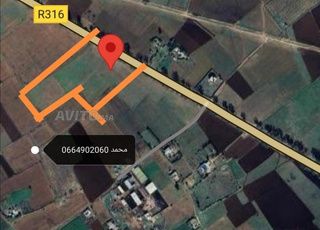 طريق حد أولاد فرج 664902060