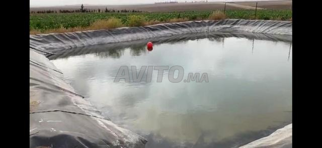 مزرعة في سطات للبيع - 2