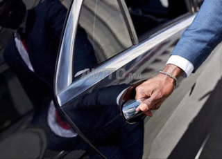 chauffeur professionnel avec permis de conduire B