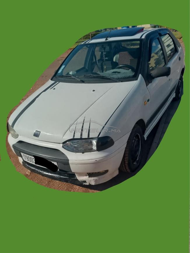 palio essence