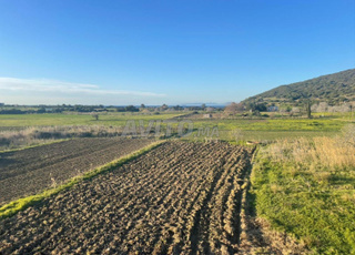 قطعة ارضية للبيع على الشارع الرئسي لشاطىء واداليان