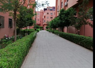 t455876jjjhhhbvcffff