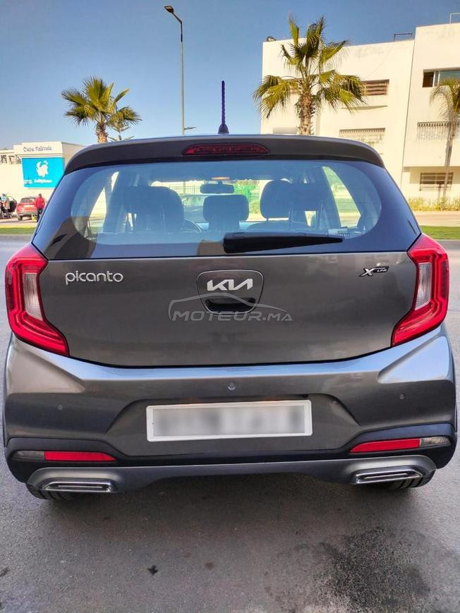 kia Picanto Xline