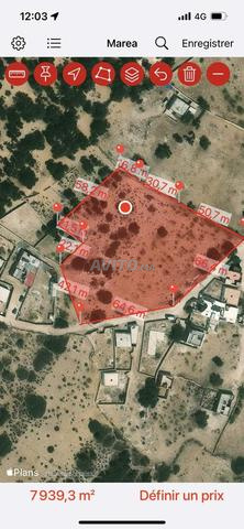 Terrain titré à vendre à Sidi Kaouki de 8000 m2 - 2