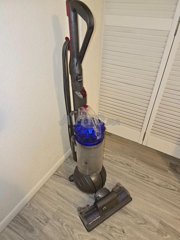 Aspirateur pro Dyson DC41 Animal Dyson Ball