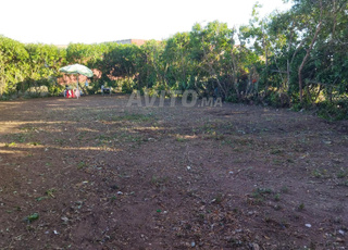 بقعة لمنزل 100 معر