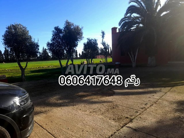 فيرما فيها 4هكتارات على ݣودروت وراقها ناضين  