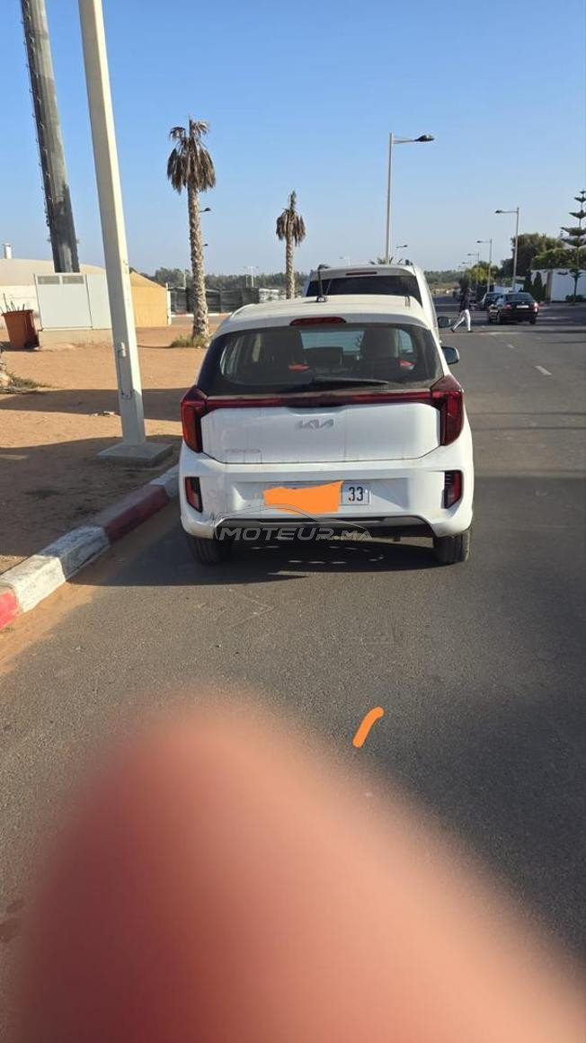 picanto 