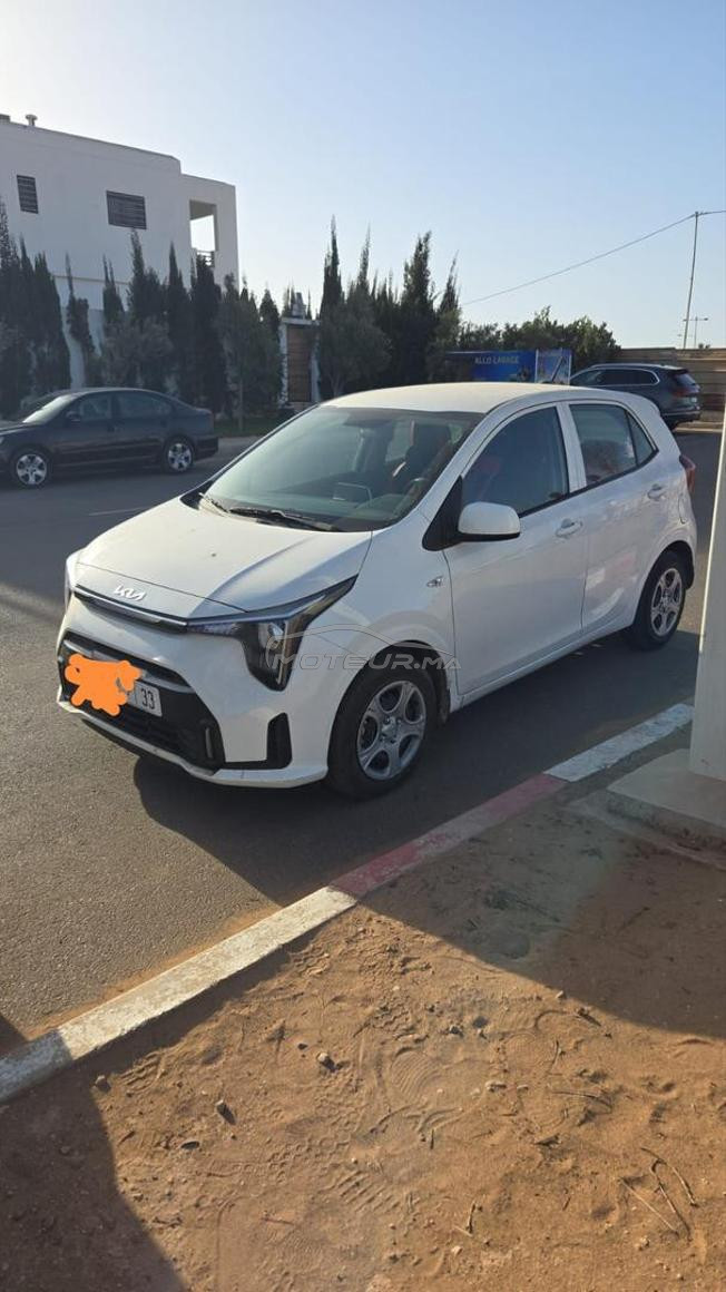 picanto 