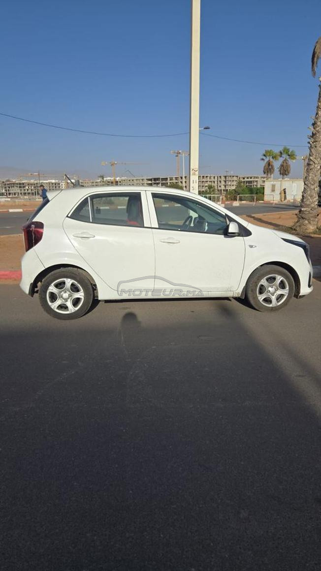 picanto 