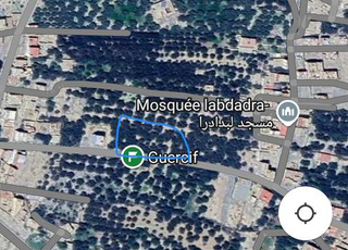 حي البدادرا نجد 