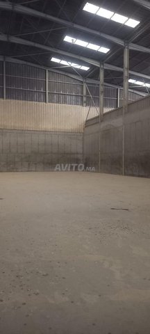 usine industriel a louer a had soualem 