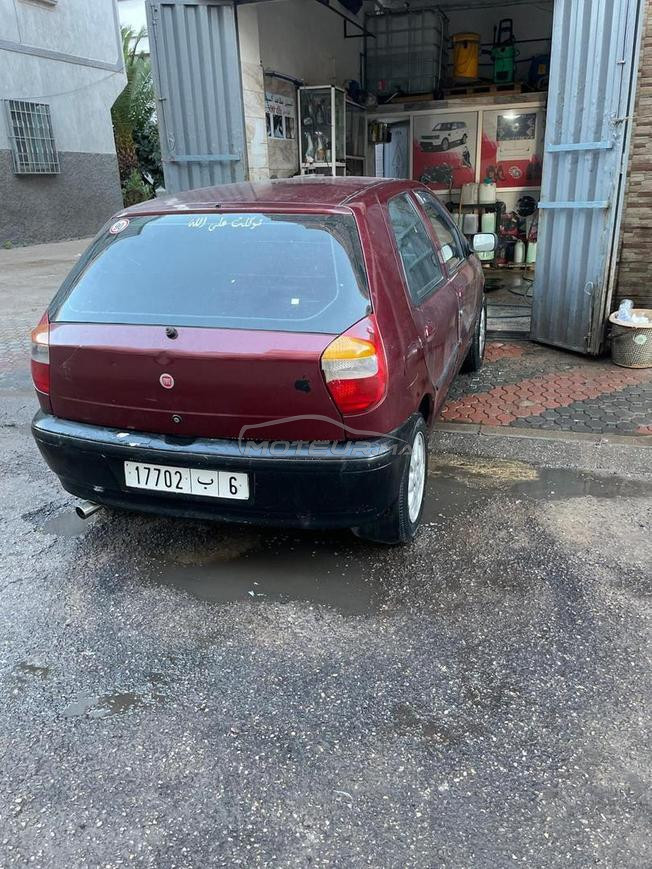 fiat palio mli7a