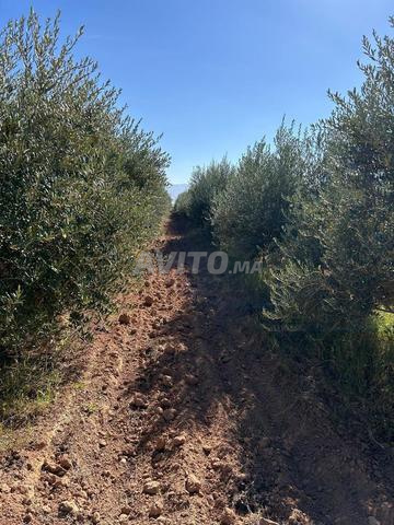 Allo sources conseils en recherches d eau - 2